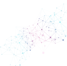 Implementation Services