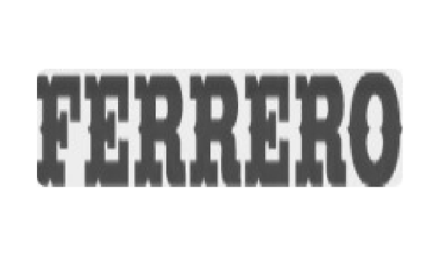 Partner Logo